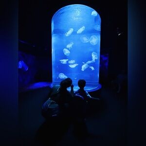 Meet your Posher, Akaneki